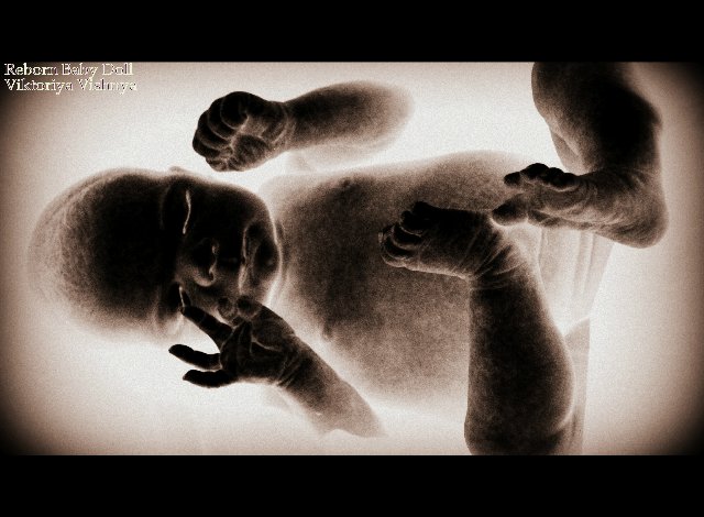 Лапуля Knox... Куколка реборн Виктории Вишни (фото 8)