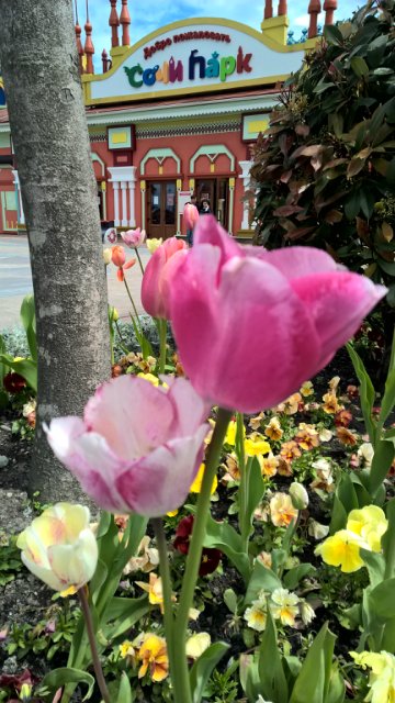 Сочи-парк, или, Русский Диснейленд. Часть 2