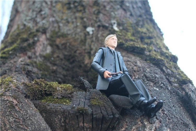 Драко Малфой: страсть к гриффиндорке и прогулка по Запретному Лесу (фото 4)