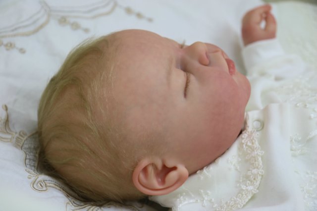 Ноашечка. Куколка реборн Виктории Вишни (фото 7)