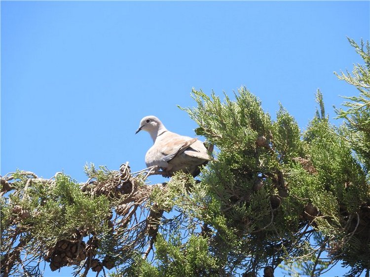 Греция, Крит, путешествие Светланки