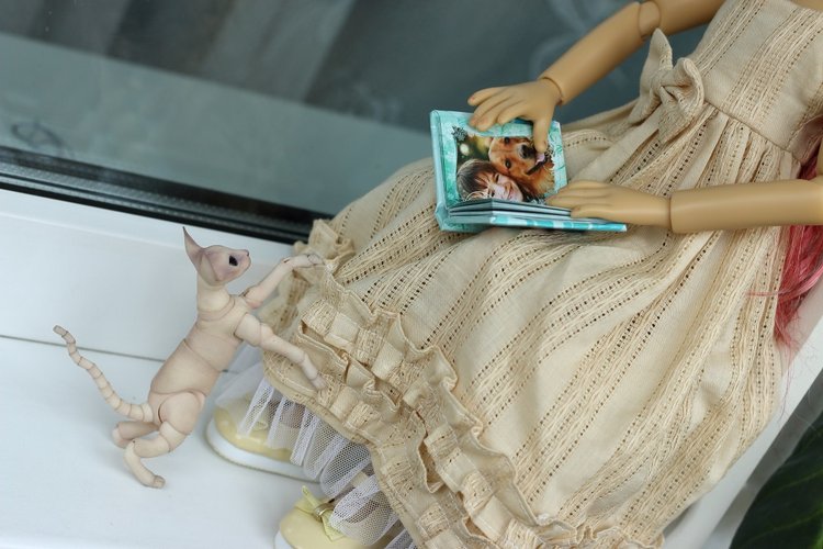 Жизнерадостный Кот и мечтательная Лайла