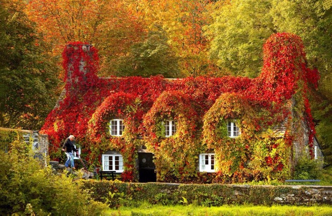 Осень. Сказка для взрослых