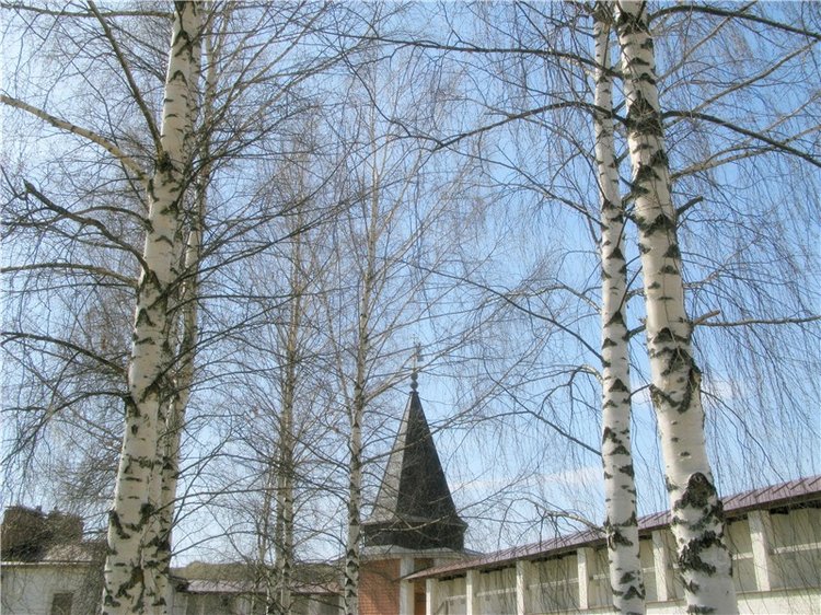 Весенняя прогулка в Старице, продолжение