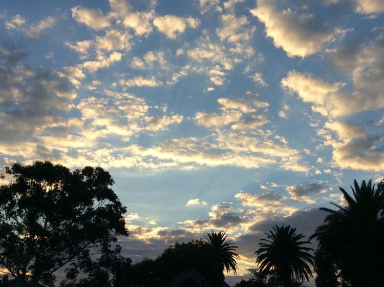 Осень в Австралии — Одежда и обувь для кукол BJD (БЖД): 1/3 (фото 9)