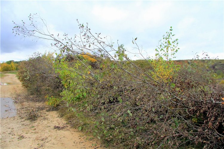 Тверской Водопад — Туризм и путешествия: фотоотчеты из поездок