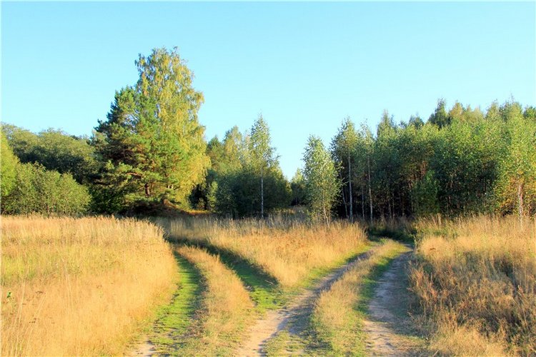 Из сентября в октябрь с воспоминанием о лете. Часть первая