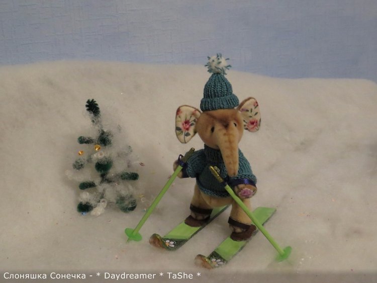 И теперь уже второй слоненок... и снова девочка