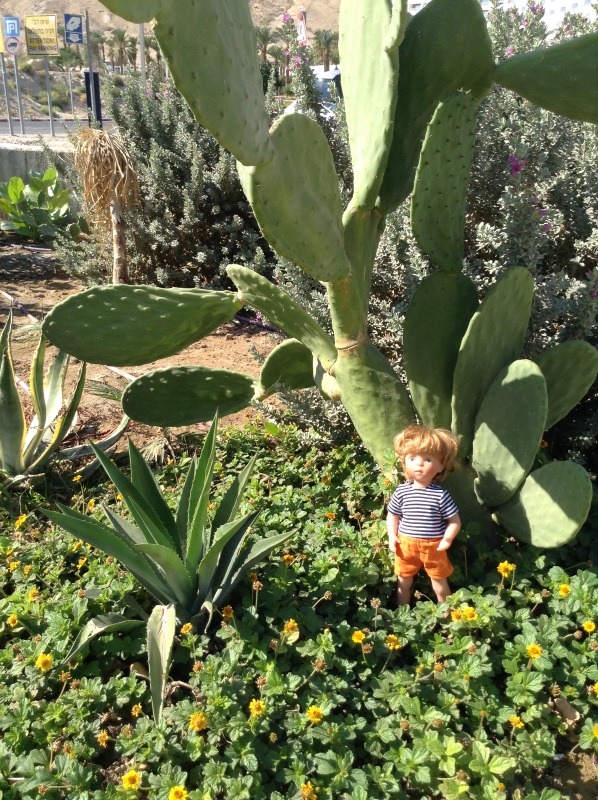 Белое солнце пустыни. Ч.2. Восточное, Соленое, Мертвое море- легенда