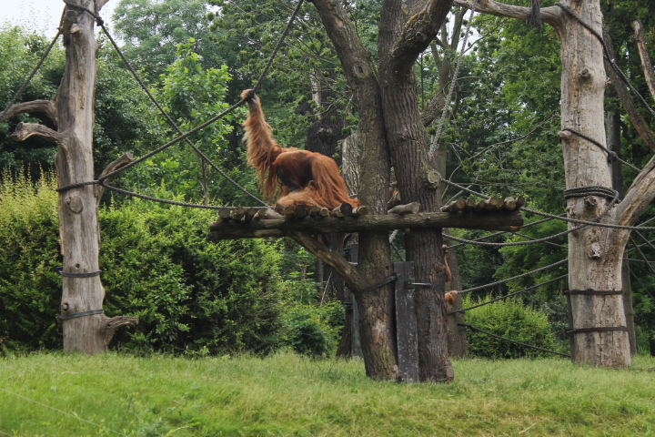 По Германии: зоопарк Лейпцига, часть 3