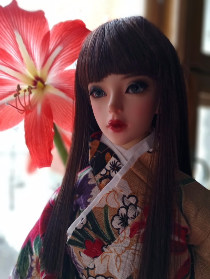 Ивейн любимый цветок — Куклы Soom (Сум): BJD (БЖД) (фото 3)
