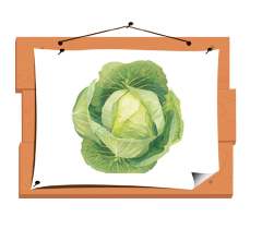 Помошница, хозяюшка Олюшка (Bettina Feigenspan-Hirsch / Zapf )