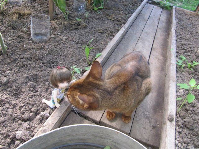 Воспоминания о лете. Куклы БЖД | Бэйбики Воспоминания о лете. Куклы БЖД