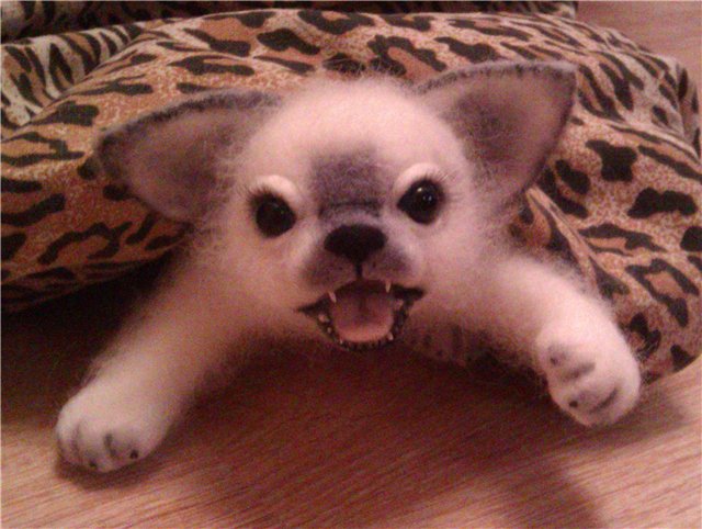 Новенький кот! Игрушка валянием из шерсти (фото 2)