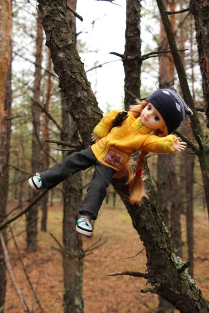 По грибы. Бузулукский бор