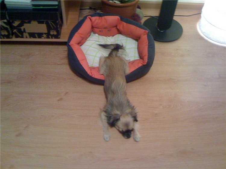 Учимся крепко спать — Болталка и разговоры обо всем: жизнь (фото 7)