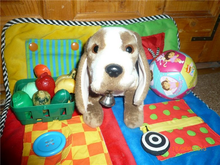 Куклы и собаки. Радость в нашем доме