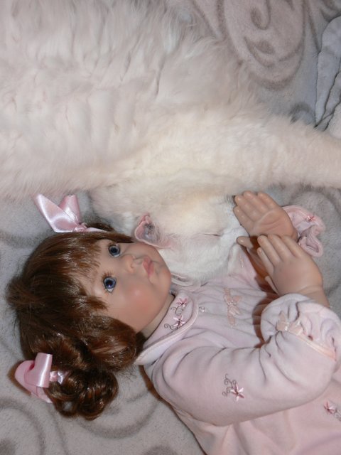 Интересно, кто кого больше любит (фото 6)