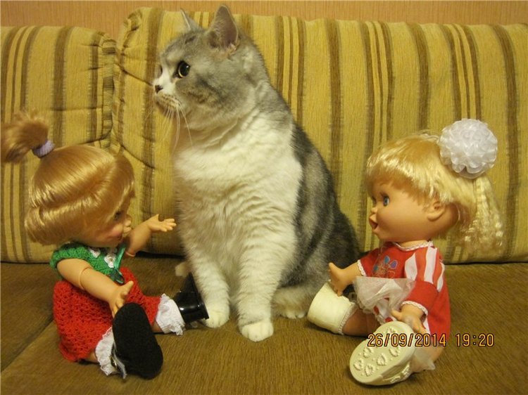 Малышка Сьюзи. Очаровательная куколка Galoob baby face