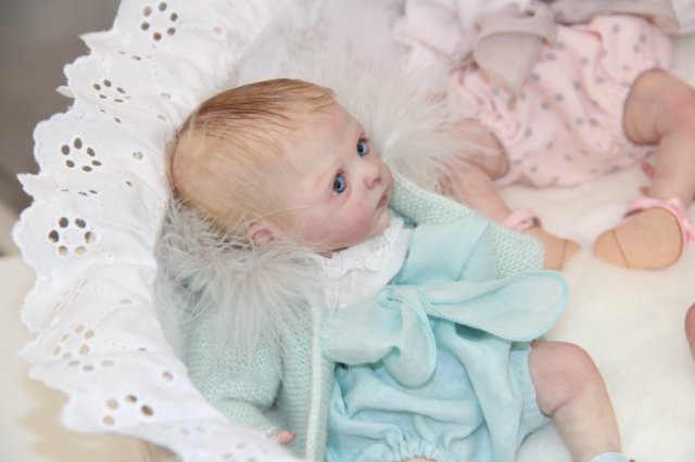 Любителям реборн посвящается (V) | Бэйбики Любителям реборн посвящается (V)