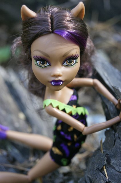 Как Лиу и Клодин за грибами ездили