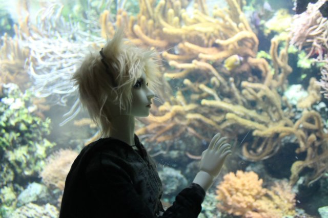 Сказка о Мишеле, BJD часть 2