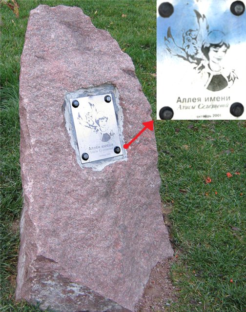 Рябиновый день — Куклы и тела Obitsu (Обитсу): 1/6 (фото 4)