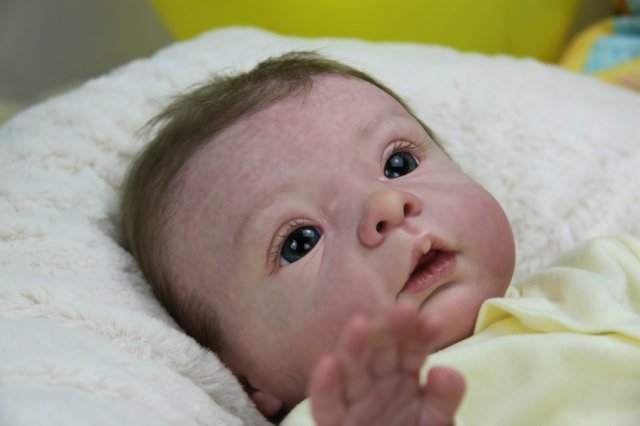 Софийкин! Кукленок реборн Виктории Вишни