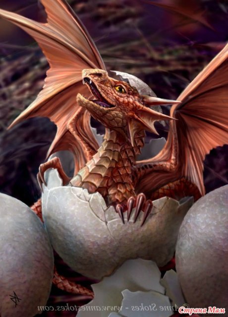 Чарли Уизли и драконы — Фотоистории с куклами BJD (БЖД): сериалы