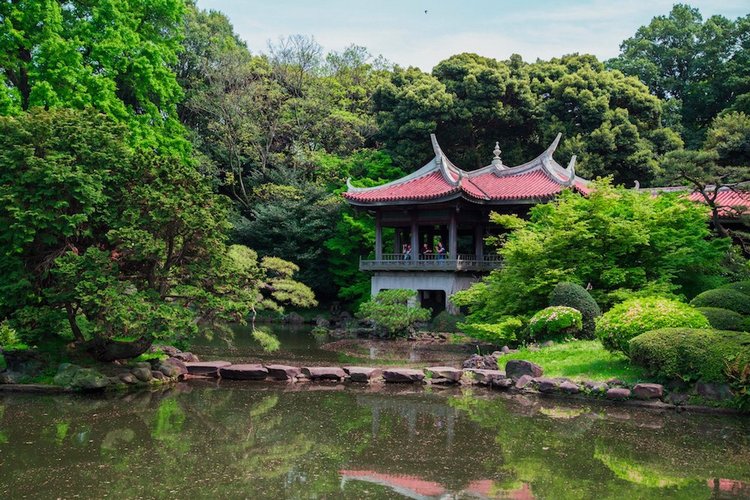 Япония моими глазами (часть 3. Китакюсю и Токио.)