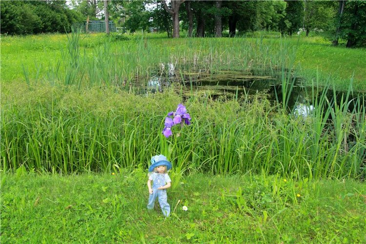 46-ой Пушкинский праздник поэзии в Берново. Часть первая