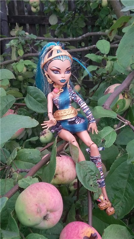 В гостях у бабушки ))) или яркое лето 2016 с девочками от Монстр Хай | Бэйбики В гостях у бабушки ))) или яркое лето 2016 с девочками от Монстр Хай (фото 3)