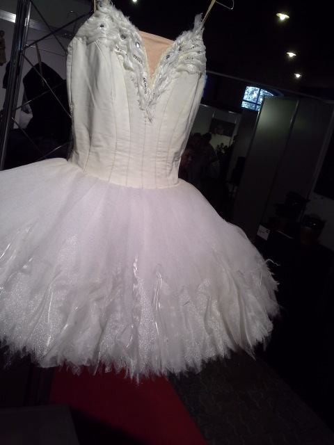 Фестиваль Европейского профессионального кукольного искусства 2016 8-11 сентября в Риге (2)