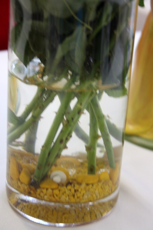 Августовская встреча в клубе коллекционеров с фрау Hildegard Gunzel. Часть 4. О планах на следующий год и подписи кукол