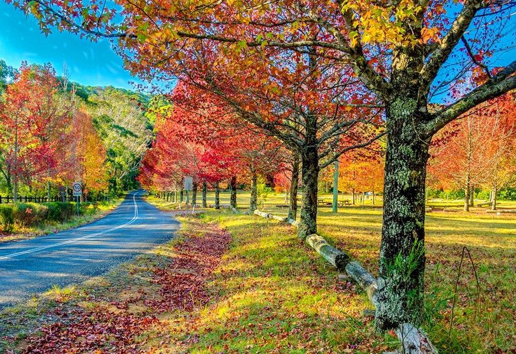 Красотка-осень — Болталка и разговоры обо всем: жизнь