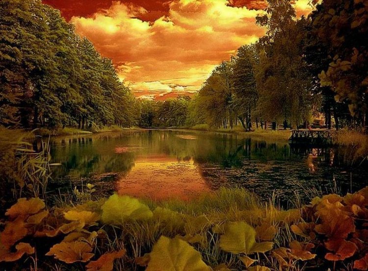 Осень. Сказка для взрослых (фото 9)