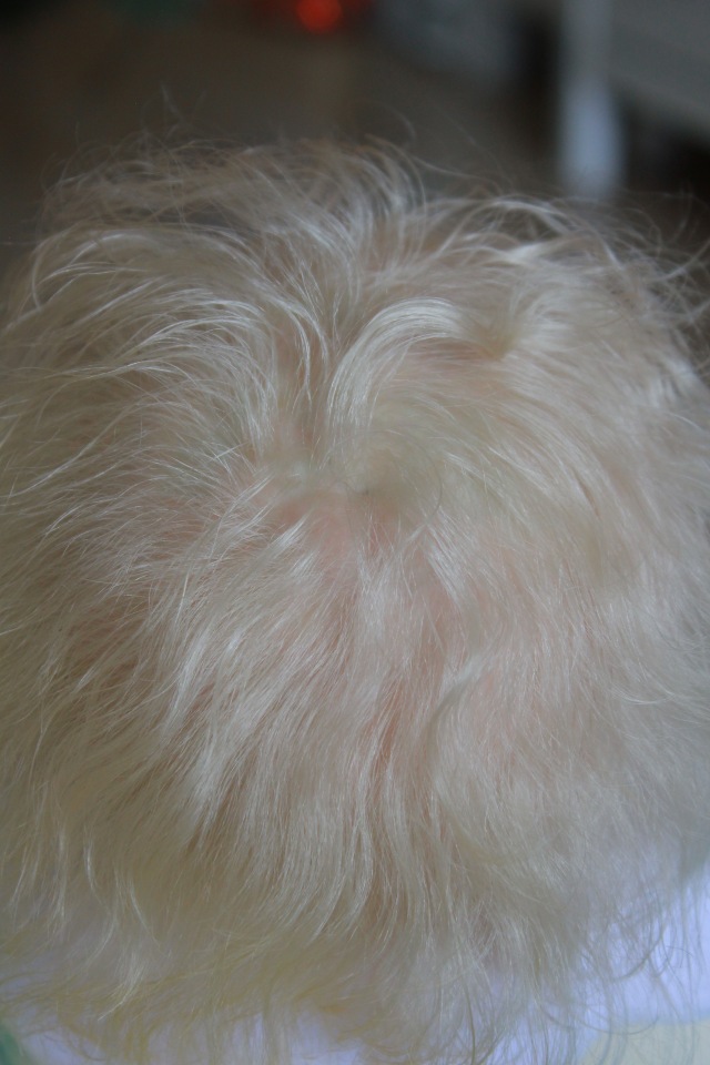 Снегурочка из молда Элла от Кароллы Вегерич