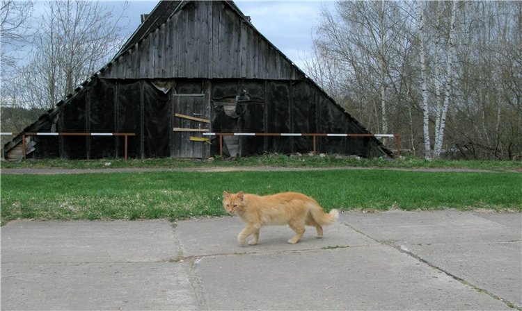 Майский день в Митино — Туризм и путешествия: фотоотчеты из поездок