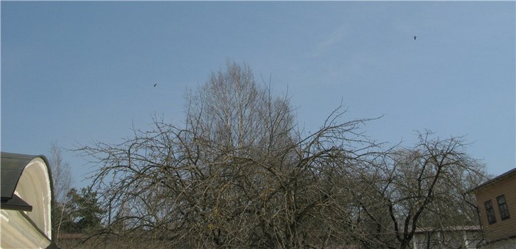 Весенняя прогулка в Старице