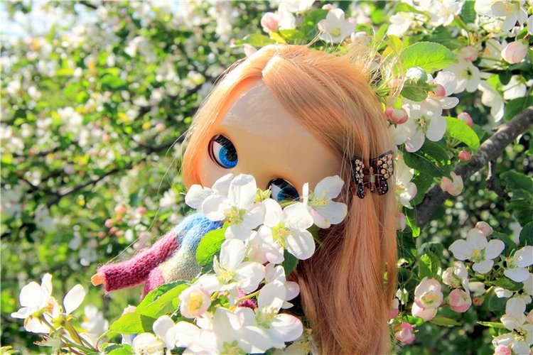 Блайзочки на природе — Оригинальные куклы Blythe (Блайз): Takara