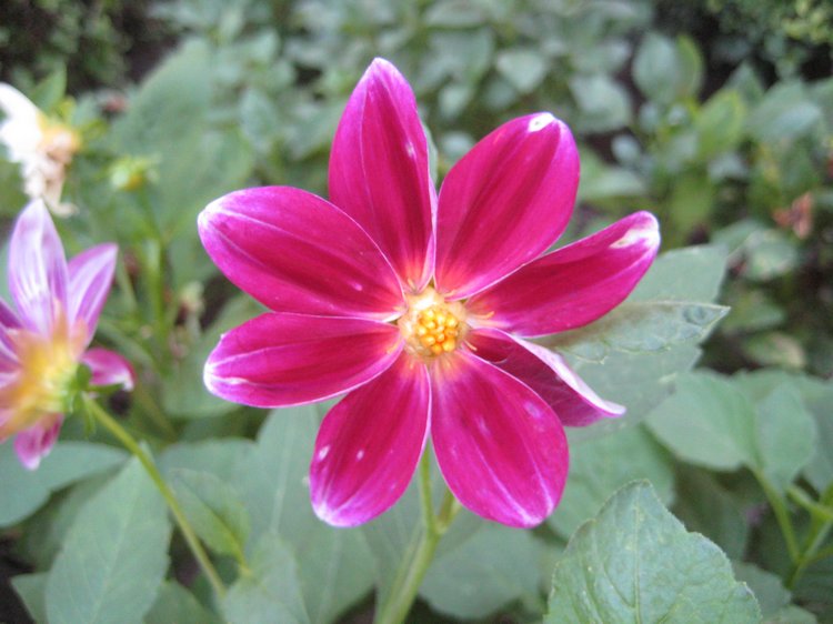 Вот такая вот Болгария — Туризм и путешествия: фотоотчеты из поездок