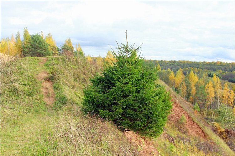 Тверской Водопад — Туризм и путешествия: фотоотчеты из поездок