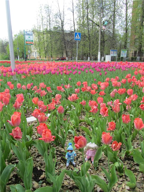 Весенний день... или как девочки ходили на пикник.№1