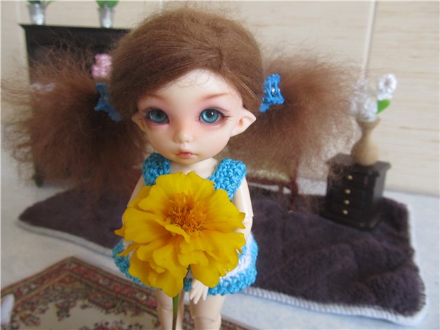 Знакомьтесь: Пукифи Анте - Ксюша