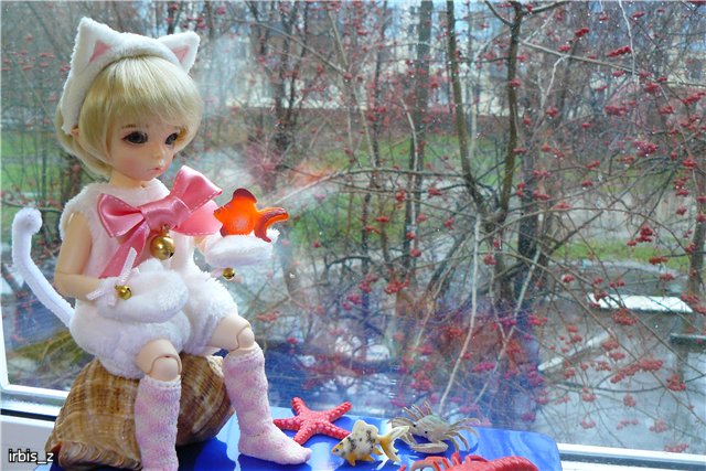 Планета Кошек. LittleFee Ante Elf Зарянка и LittleFee Leah Миланка | Бэйбики Планета Кошек. LittleFee Ante Elf Зарянка и LittleFee Leah Миланка (фото 8)