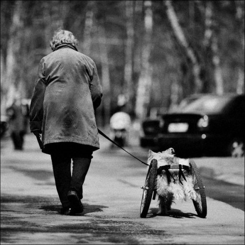 Не просто фото | Бэйбики Не просто фото — Болталка и разговоры обо всем: жизнь