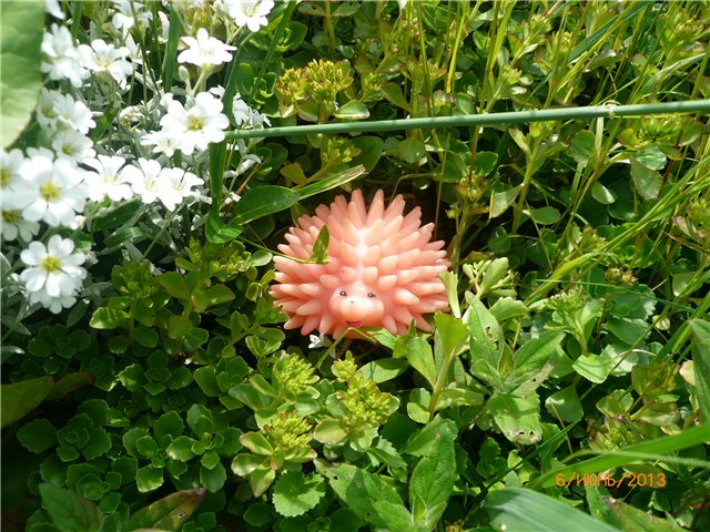 Мои позитивчики — Домашние коллекции кукол: фото собраний