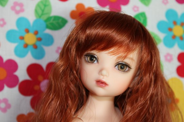 Моя первая БЖД Хлоя BID Iplehouse