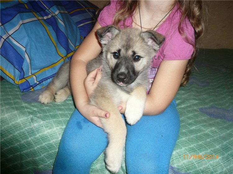 Снежана. Очаровательная куколка Монстр Хай (фото 8)