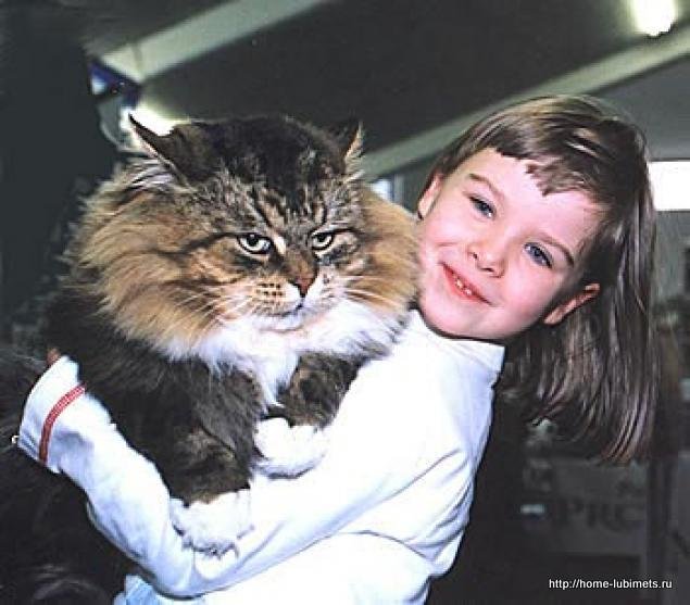 Для души и отличного настроения